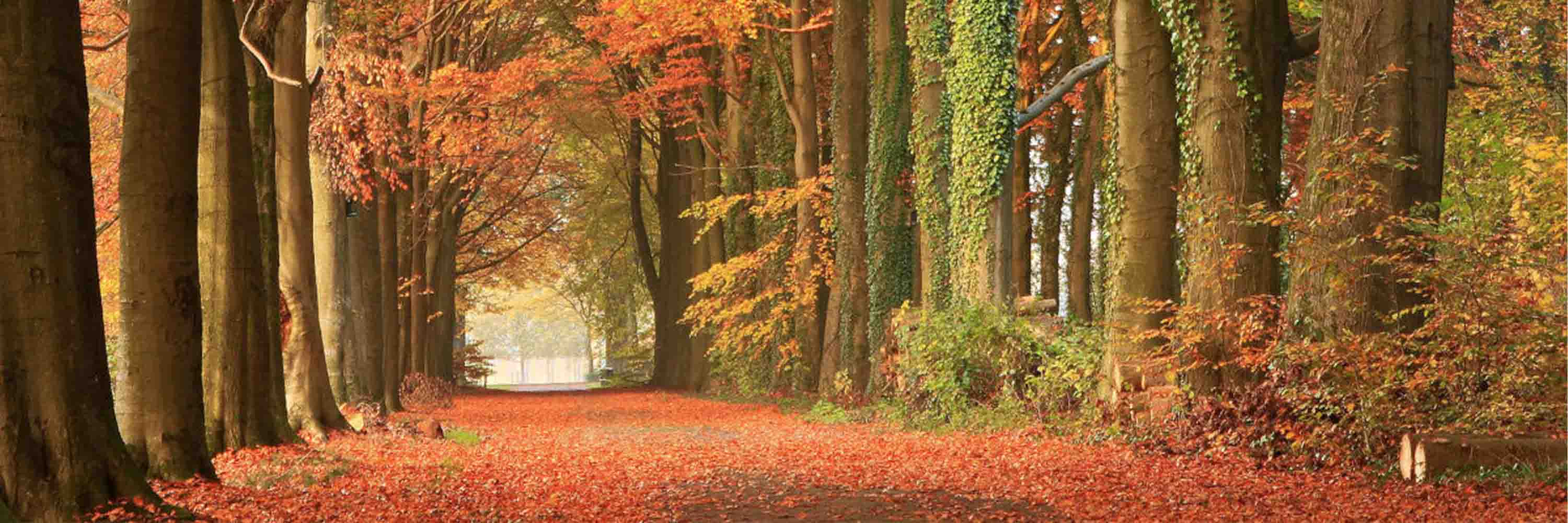 Hof van Twente & Cadac Snellere verwerking, hoge kwaliteit data