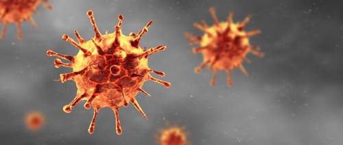 Bericht over coronavirus