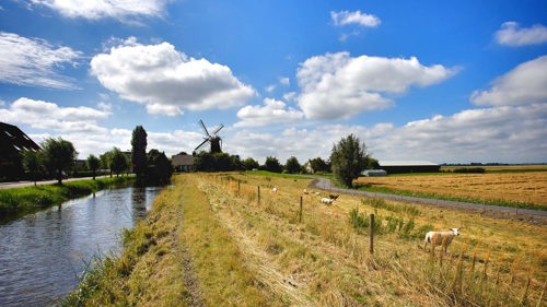 landschap-zuidholland-1280